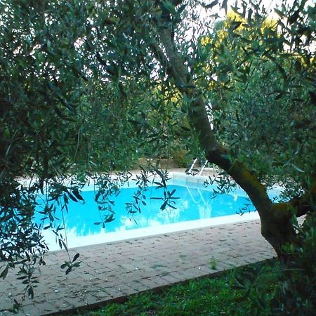 Tenuta Santa Maria Βίλα Campagnatico Εξωτερικό φωτογραφία