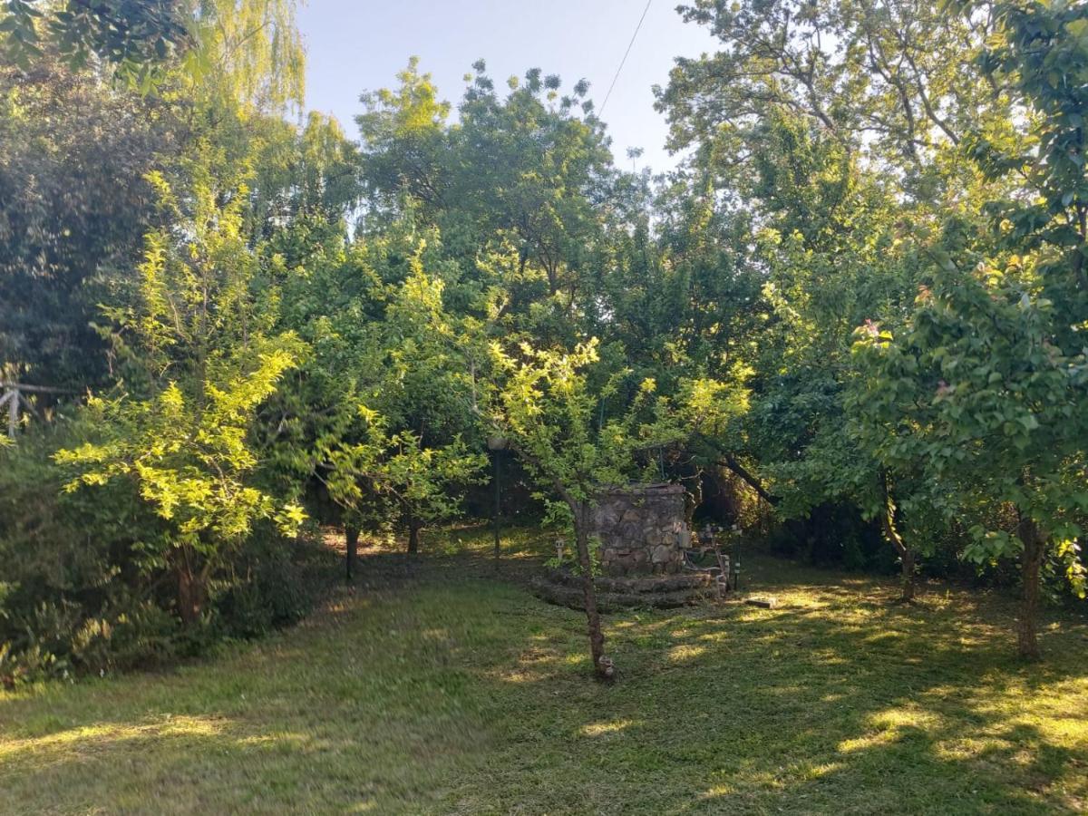 Tenuta Santa Maria Βίλα Campagnatico Εξωτερικό φωτογραφία