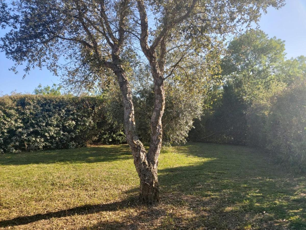 Tenuta Santa Maria Βίλα Campagnatico Εξωτερικό φωτογραφία
