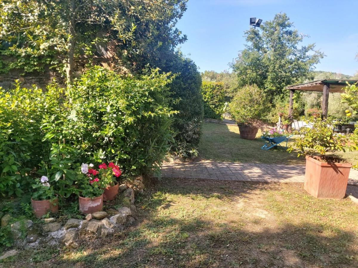Tenuta Santa Maria Βίλα Campagnatico Εξωτερικό φωτογραφία