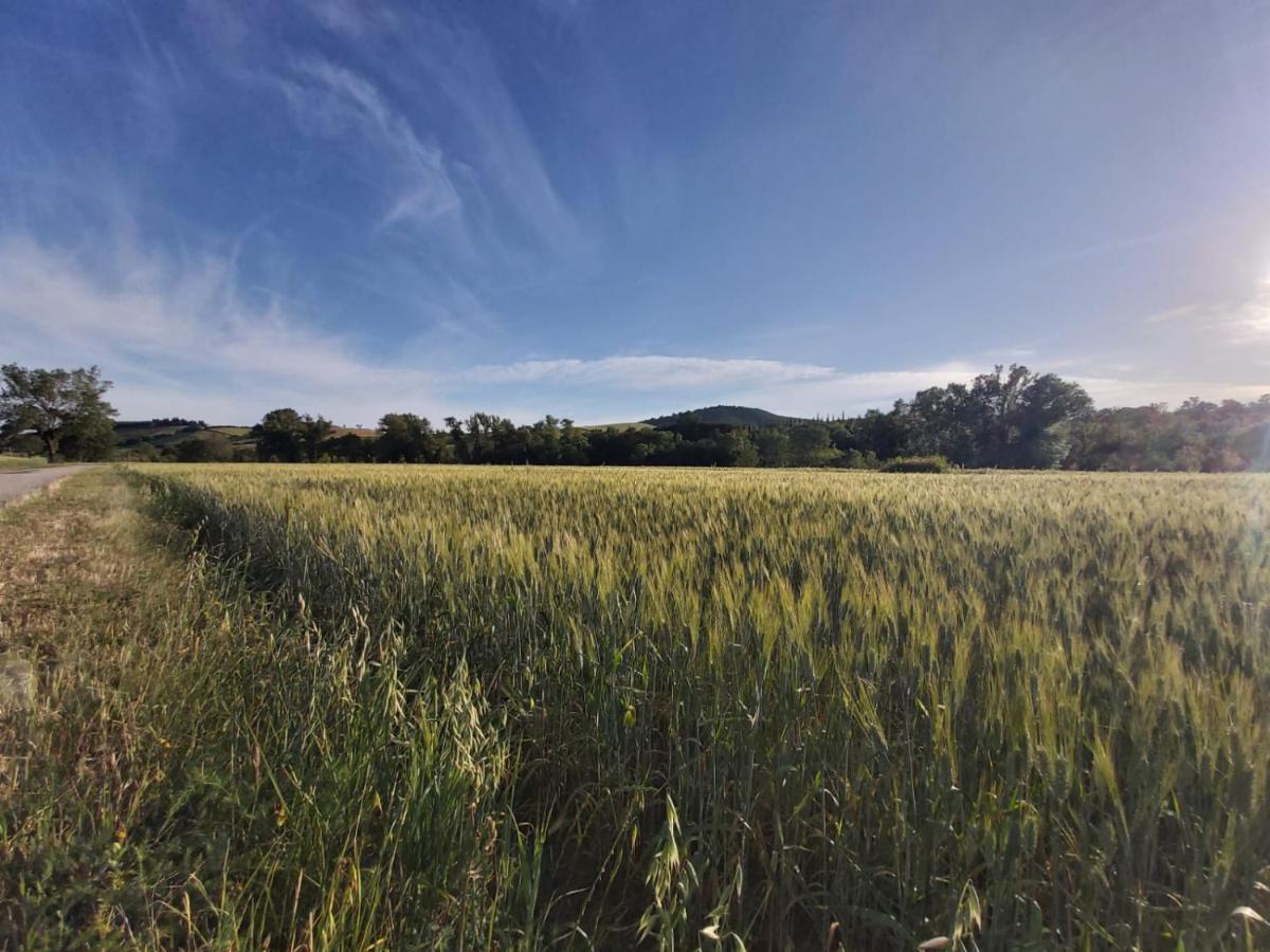 Tenuta Santa Maria Βίλα Campagnatico Εξωτερικό φωτογραφία