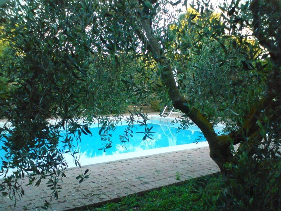 Tenuta Santa Maria Βίλα Campagnatico Εξωτερικό φωτογραφία